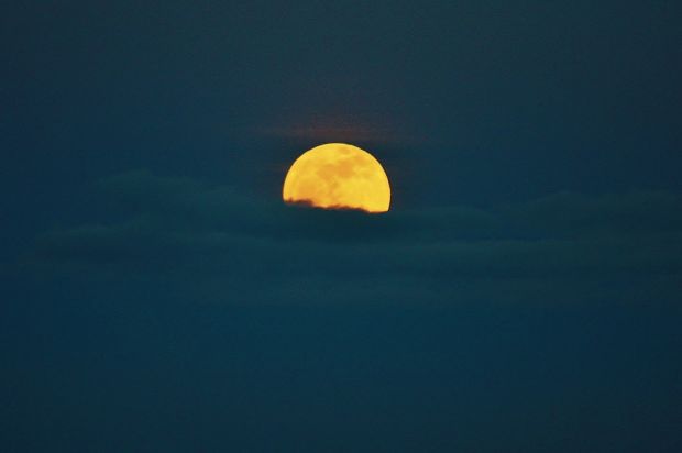 Moon